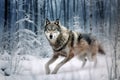 an image of a running wolf superimposed with a snowy winter forest scene