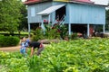 Image of rural countryside in Cambodia. Mother with child in garden farm.