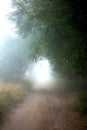 Misty Mountain Country Road Tree Tunnel Royalty Free Stock Photo