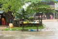 Image of rural market. Khmer countryside. Fresh vegetables. Royalty Free Stock Photo
