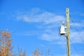 Rural Power Transformer