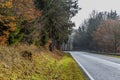 Image of a rural road with a curve among forest trees