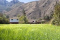 Image of rural scene of wheat crop in Peruvian Andes. Royalty Free Stock Photo