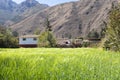 Image of rural scene of wheat crop in Peruvian Andes.