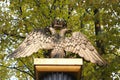 Image of the Russian Imperial eagle on the fence of the Cathedral Royalty Free Stock Photo