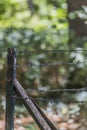 Image of a rusty black metal fence with barbed wire Royalty Free Stock Photo