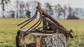 Image of a rusty metal structure with abstract shape on a tree stump with a blurred background Royalty Free Stock Photo