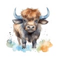 Safari Buffalo watercolor illustration, safari animals clipart Royalty Free Stock Photo