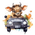 Safari Buffalo watercolor illustration, safari animals clipart