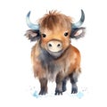 Safari Buffalo watercolor illustration, safari animals clipart