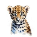 Safari Jaguar watercolor illustration, safari animals clipart