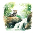 Safari Jaguar watercolor illustration, safari animals clipart