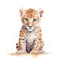 Safari Jaguar watercolor illustration, safari animals clipart