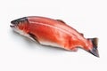 Image of salmon on white background. Fish. Underwater animals. Illustration, Generative AI