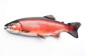 Image of salmon on white background. Fish. Underwater animals. Illustration, Generative AI