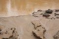 Image of a sand beach in Amazon jungle in Peruvian forest. Wet sand close to the river. Royalty Free Stock Photo