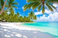 Sandy beach is a paradise deserted tropical island.