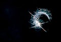 Image of a scaled worm at night. Royalty Free Stock Photo