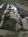 Scene of the flooded muddy farmland