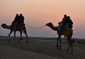 This is an image or scenery of beautiful camel safari and riding in thar desert or sam sand dunes in jaisalmer rajasthan india Royalty Free Stock Photo