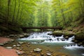 Scenery with river and forest at Appalachian Trail near Goshen Pass, Blue Ridge Mountains, Virginia, USA Royalty Free Stock Photo