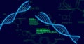 Image of scientific data processing and dna strands over dark background Royalty Free Stock Photo