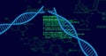 Image of scientific data processing and dna strands over dark background Royalty Free Stock Photo