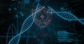 Image of scientific data processing over dna strands on dark background Royalty Free Stock Photo