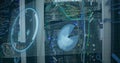 Image of scope scanning and data processing over cables in computer server Royalty Free Stock Photo