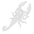 Image of scorpion - black emperor Royalty Free Stock Photo