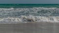 Image Of Sea Weave At Dhanushkodi Beach, Shot From The Rameswaram-Dhanushkodi Road