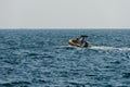 Seascape with a motor boat on the horizon