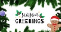 Image of season greetings text over christmas decorations Royalty Free Stock Photo
