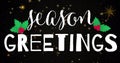 Image of season greetings text over stars Royalty Free Stock Photo