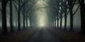 foggy misty dry trees in fall or winter. Road, driveway, path, boulevard, byway, route, track, trail, street, row of trees. Royalty Free Stock Photo