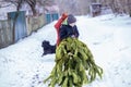 Two brothers carry a pine tree for the birth night. Two boys chose a tree to setting up a Christmas tree