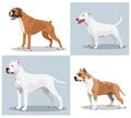 Image set of dogs Royalty Free Stock Photo