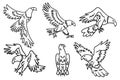 The image is a set of six drawings of birds in flight Royalty Free Stock Photo