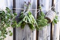 Bunches of Fresh Picked Herbs Hung to Dry Royalty Free Stock Photo