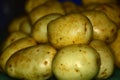 Fresh potato from my farm from Helambu Nepal