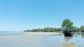 Gonda Mangrove Park at West Sulawesi in Indonesia Royalty Free Stock Photo