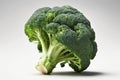 Appetizing broccoli isolated on a white background
