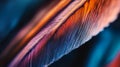 An abstract depiction of colorful feathers capturing the play of light and texture. Vibrant hues merge seamlessly Royalty Free Stock Photo