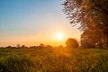 Golden Sunrise Over Lush Green Meadow Royalty Free Stock Photo