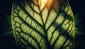 Veins of Nature: Close-Up of Green Leaf Texture, AI Generated Royalty Free Stock Photo