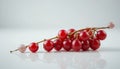 red currants on white reflective surface - generated using ai Royalty Free Stock Photo