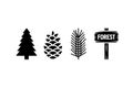 Pine Tree Cone Branch Forest Signs Set Royalty Free Stock Photo