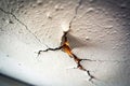 Repairing a Ceiling Crack Expert Guidance on Drywall Repair for Interior Walls Royalty Free Stock Photo