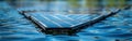 Renewable Energy: Closeup of PV Photovoltaic Solar Panels Harnessing Solar Power