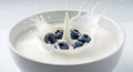 Blueberry milk splash: fresh blueberries dropping into milk bowl stock photo image Royalty Free Stock Photo